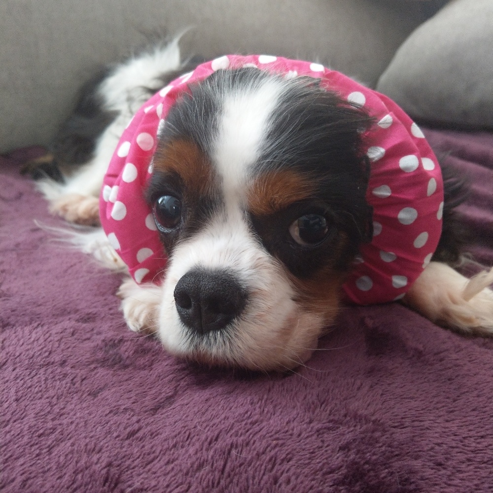 Meet your Posher, Hitomi